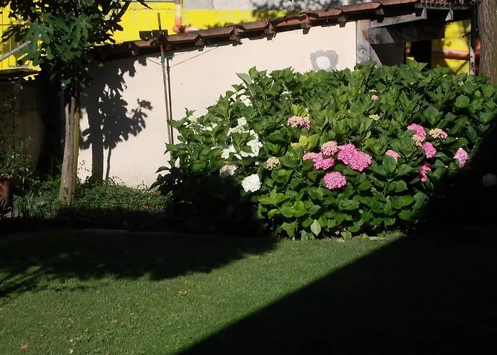 Bed & Breakfast Les Hirondelles