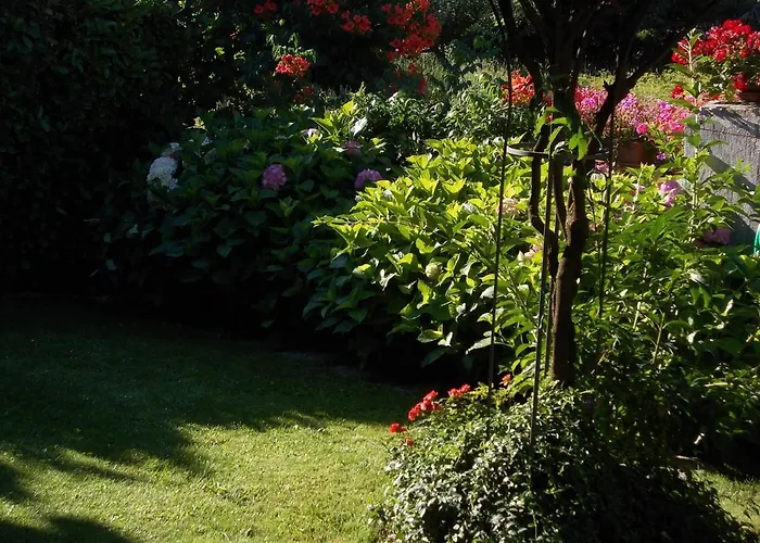 Les Hirondelles Bed and Breakfast Fenis